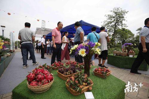 天津吃瓜群众的地方,天津“吃瓜群众”的市井百态