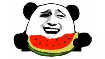 天干气热吃瓜群众,吃瓜群众如何应对酷暑？