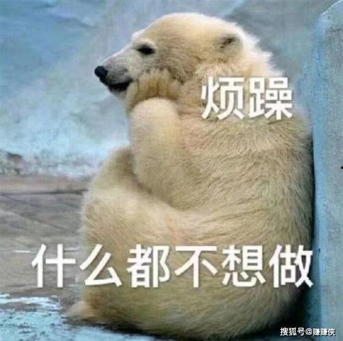 吃瓜群众粉色图片,揭秘吃瓜群众粉色图片背后的故事