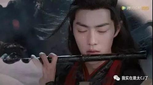 魏无羡吃瓜群众,瓜田李下，揭秘仙侠世界中的神秘瓜事