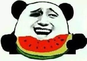 熊猫肉肉吃瓜群众,揭秘吃瓜群众的独特视角